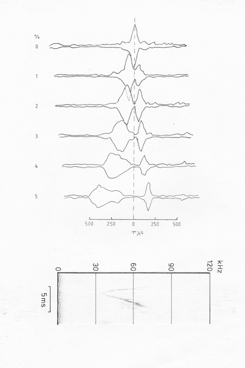 N.stramineus down up call