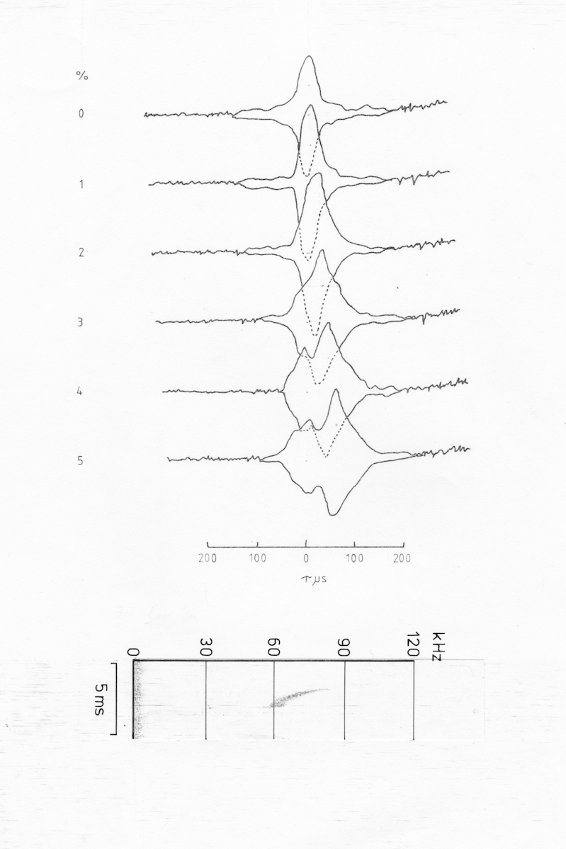 P.pip fm pulse