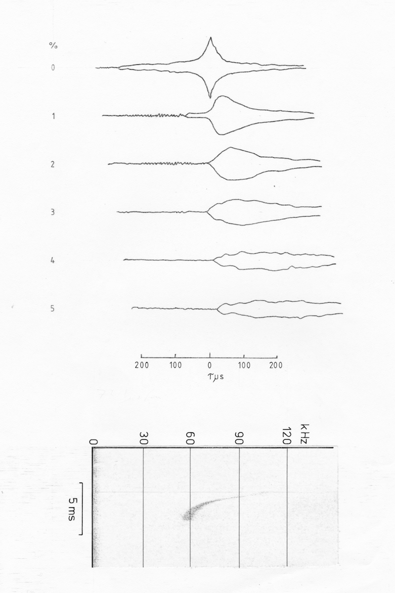 P.pip transition